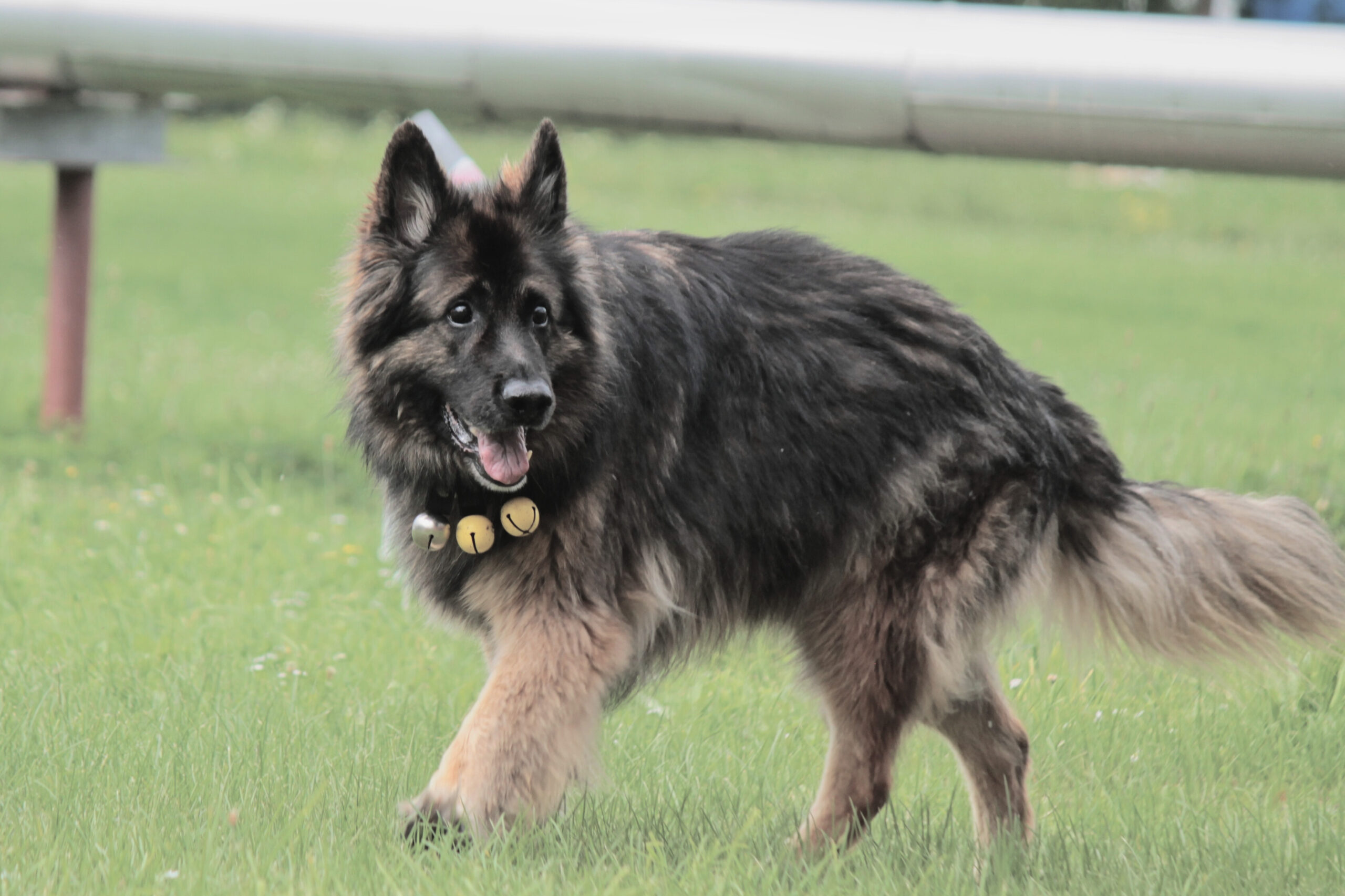 06584205-45cd-46c8-b30f-ae77385884c5