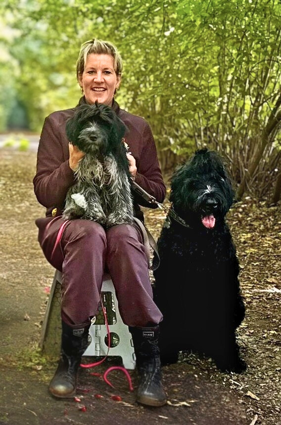 1fa4cb76-8706-4078-b651-b796efefeed5