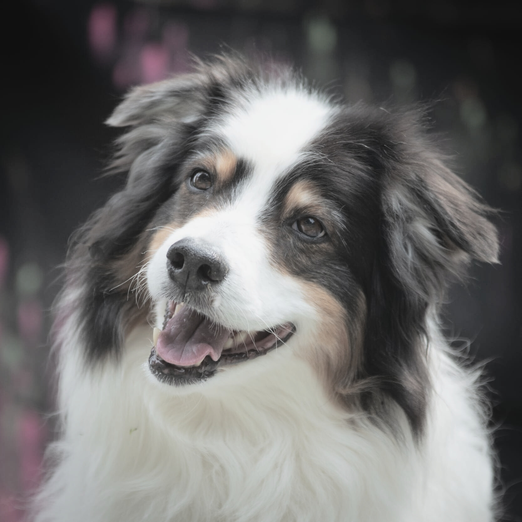 948005ac-8924-4554-8515-40df1888a35c