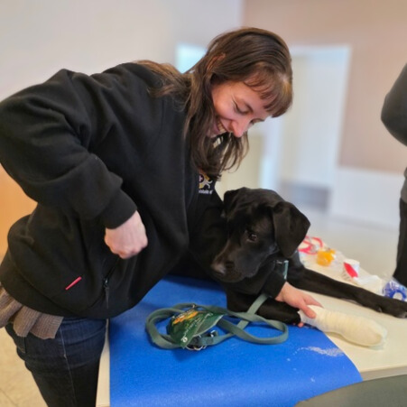 96fc1736-7cb8-40ec-96c1-44a352dca36c