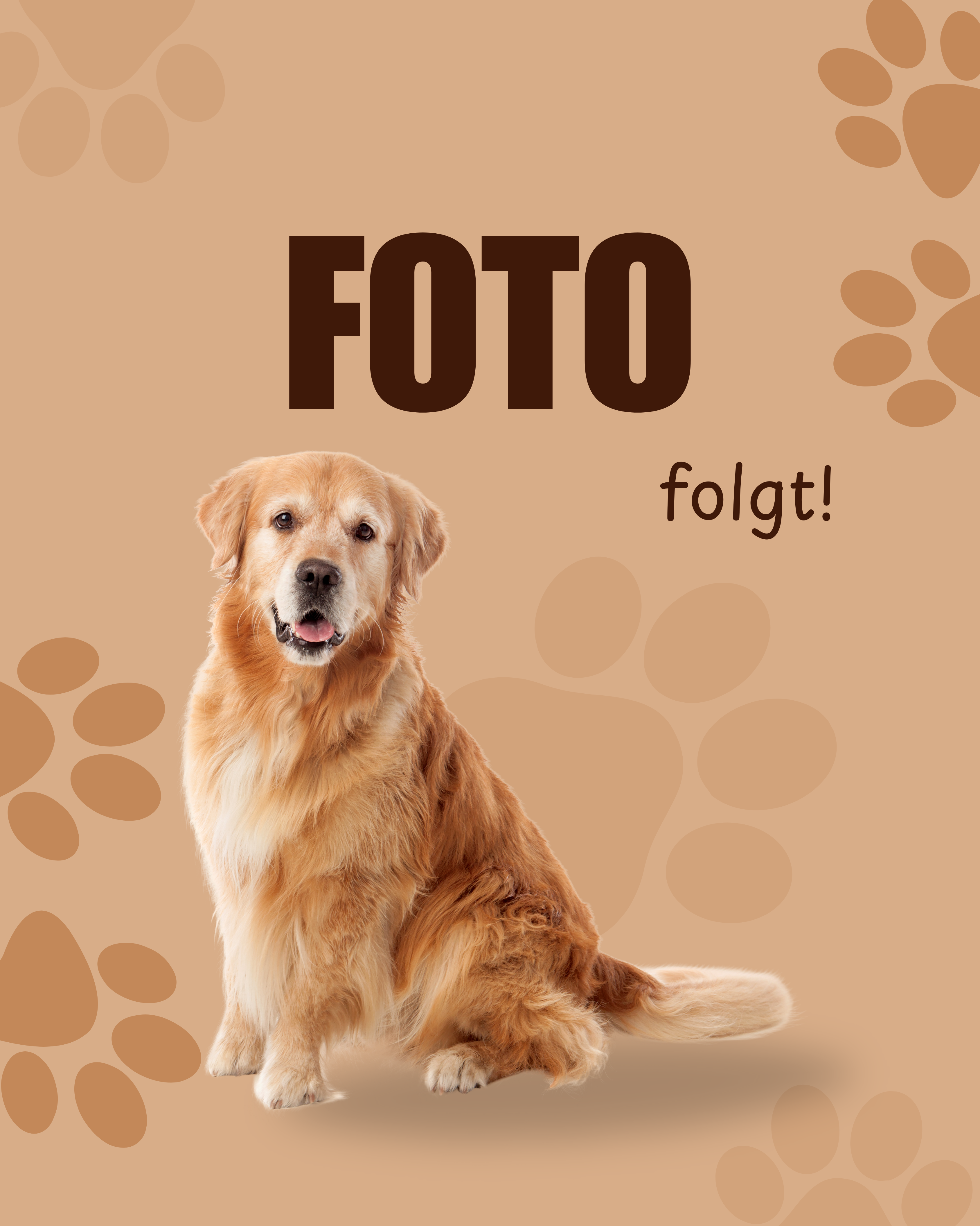 Brown International Dog Day Instagram Post