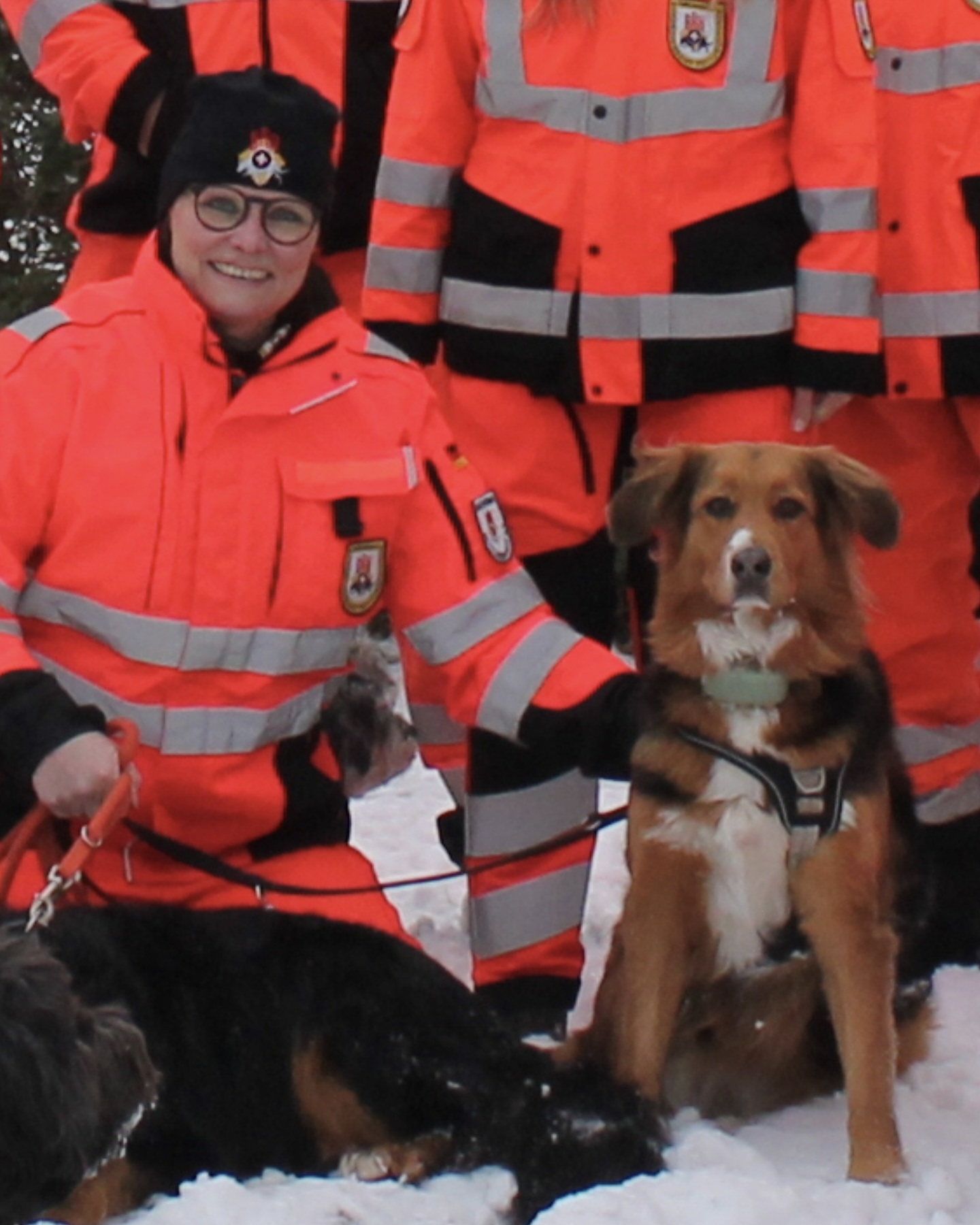 Screenshot_20260304_142223_Gallery