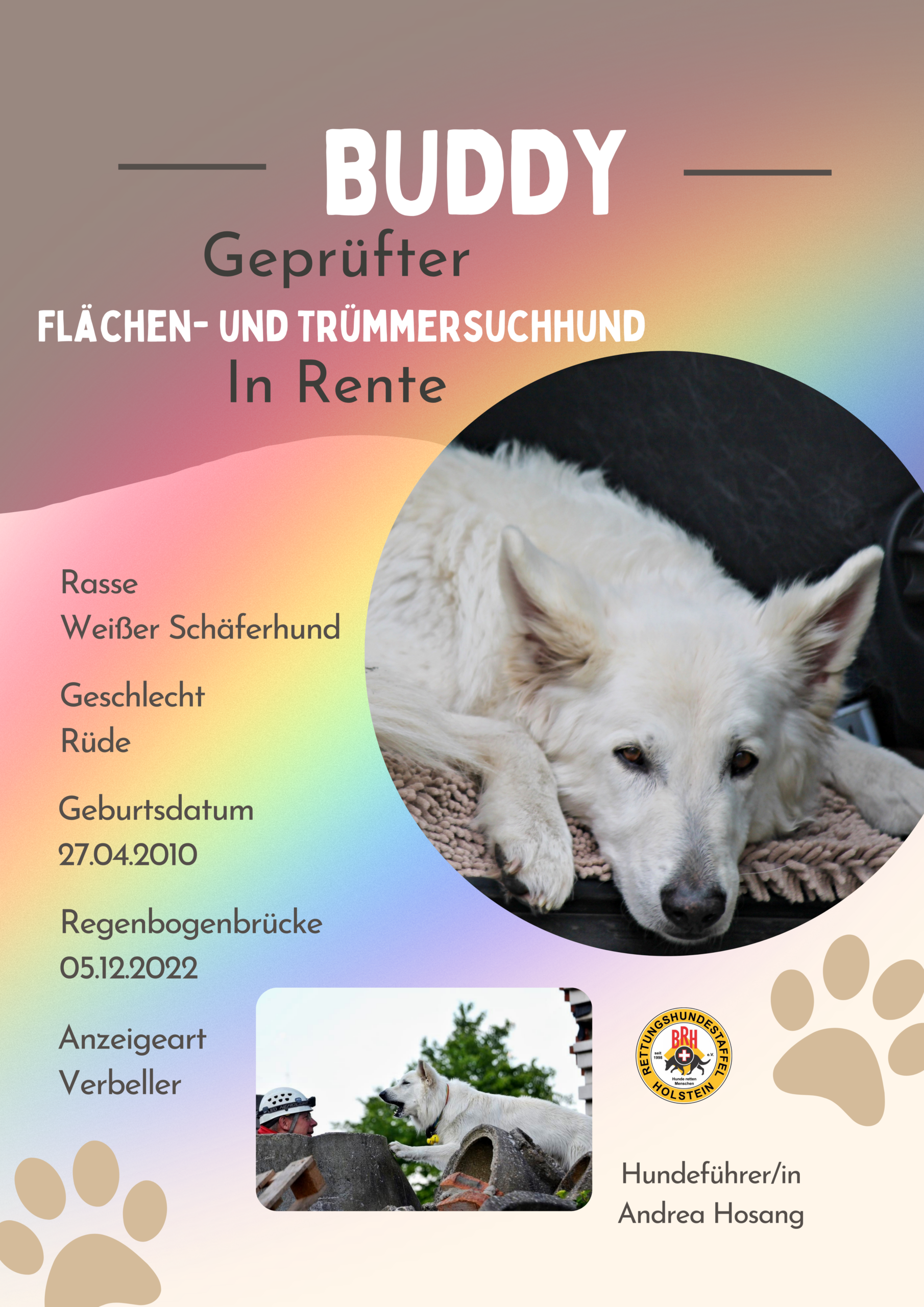 Steckbrief – Buddy